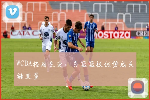WCBA格局生变，男篮篮板优势成关键变量